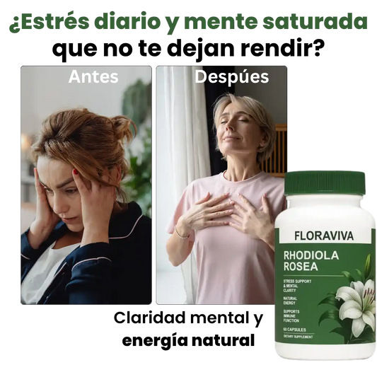 🧠 “Activa tu Mente al Máximo ⚡ Enfoque Total, Energía Mental Imparable”