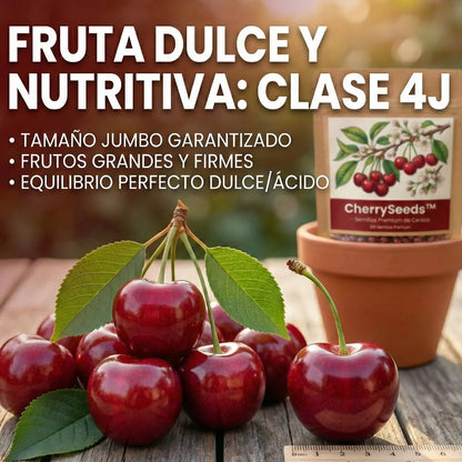 CherrySeeds™ – Semillas Premium de Cereza