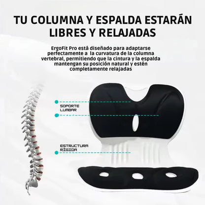 ERGOFIT: ASIENTO ERGONÓMICO